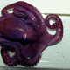 Illustration for article titled Octopuses rewrite their RNA to function in frigid Antarctic waters